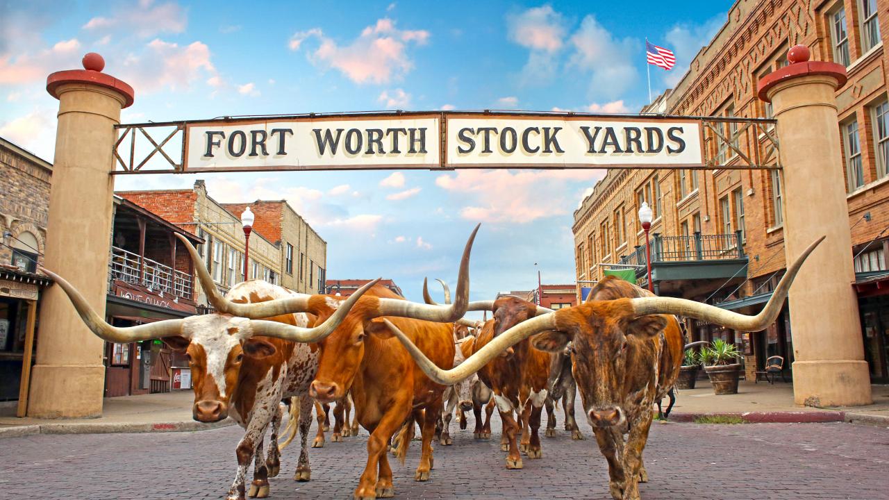 Fort Worth, TX