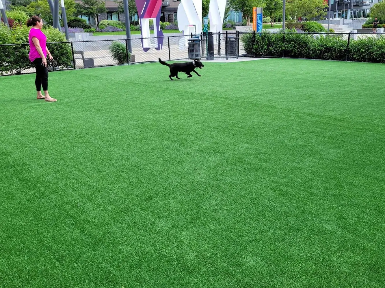 Pet Friendly Turf Installation